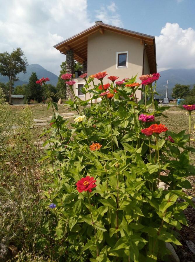 Semi Al Vento: La Bio-Casa Nel Giardino Incantato! Apartment Paesana Екстериор снимка