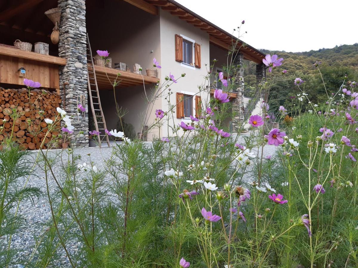 Semi Al Vento: La Bio-Casa Nel Giardino Incantato! Apartment Paesana Екстериор снимка