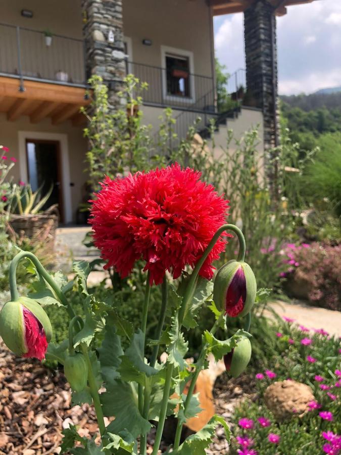 Semi Al Vento: La Bio-Casa Nel Giardino Incantato! Apartment Paesana Екстериор снимка