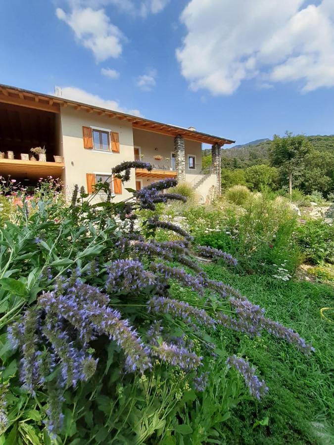 Semi Al Vento: La Bio-Casa Nel Giardino Incantato! Apartment Paesana Екстериор снимка