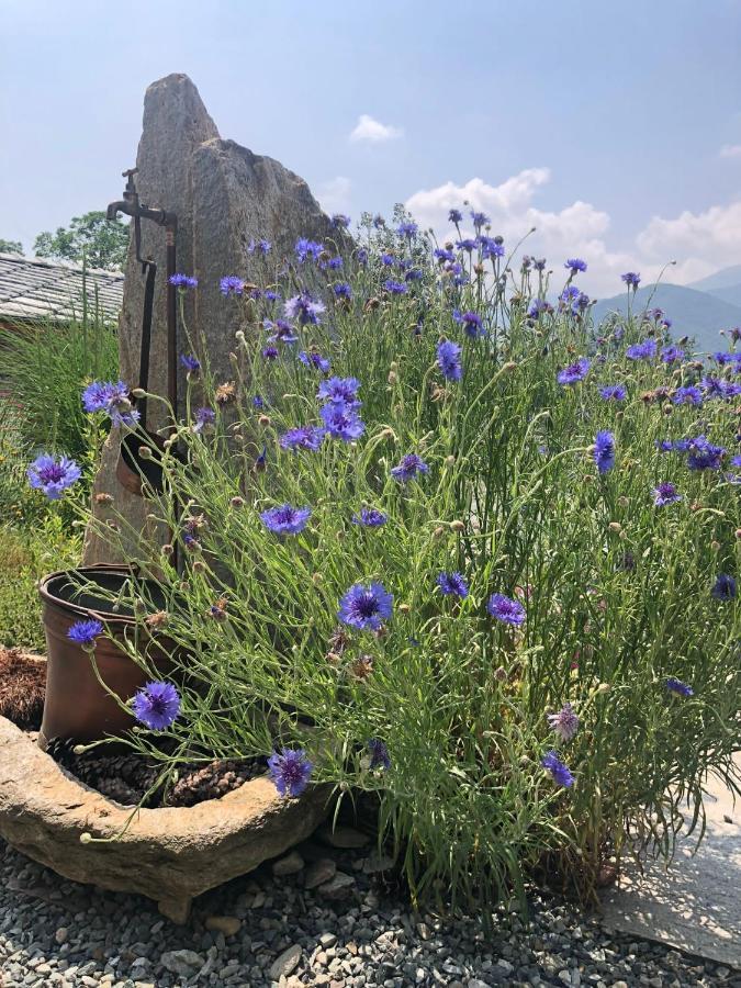 Semi Al Vento: La Bio-Casa Nel Giardino Incantato! Apartment Paesana Екстериор снимка