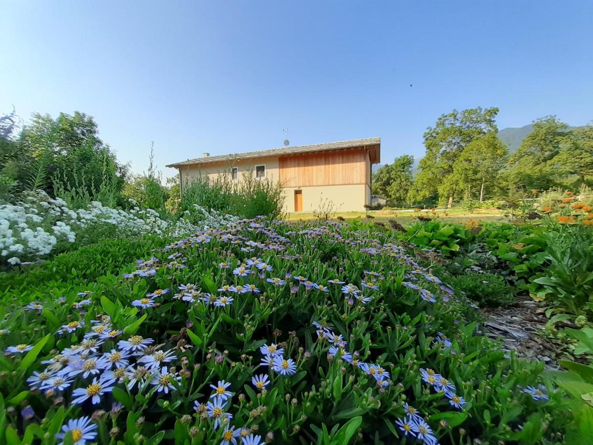Semi Al Vento: La Bio-Casa Nel Giardino Incantato! Apartment Paesana Екстериор снимка