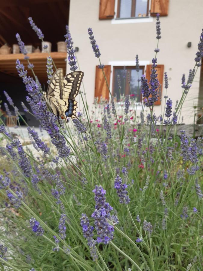 Semi Al Vento: La Bio-Casa Nel Giardino Incantato! Apartment Paesana Екстериор снимка
